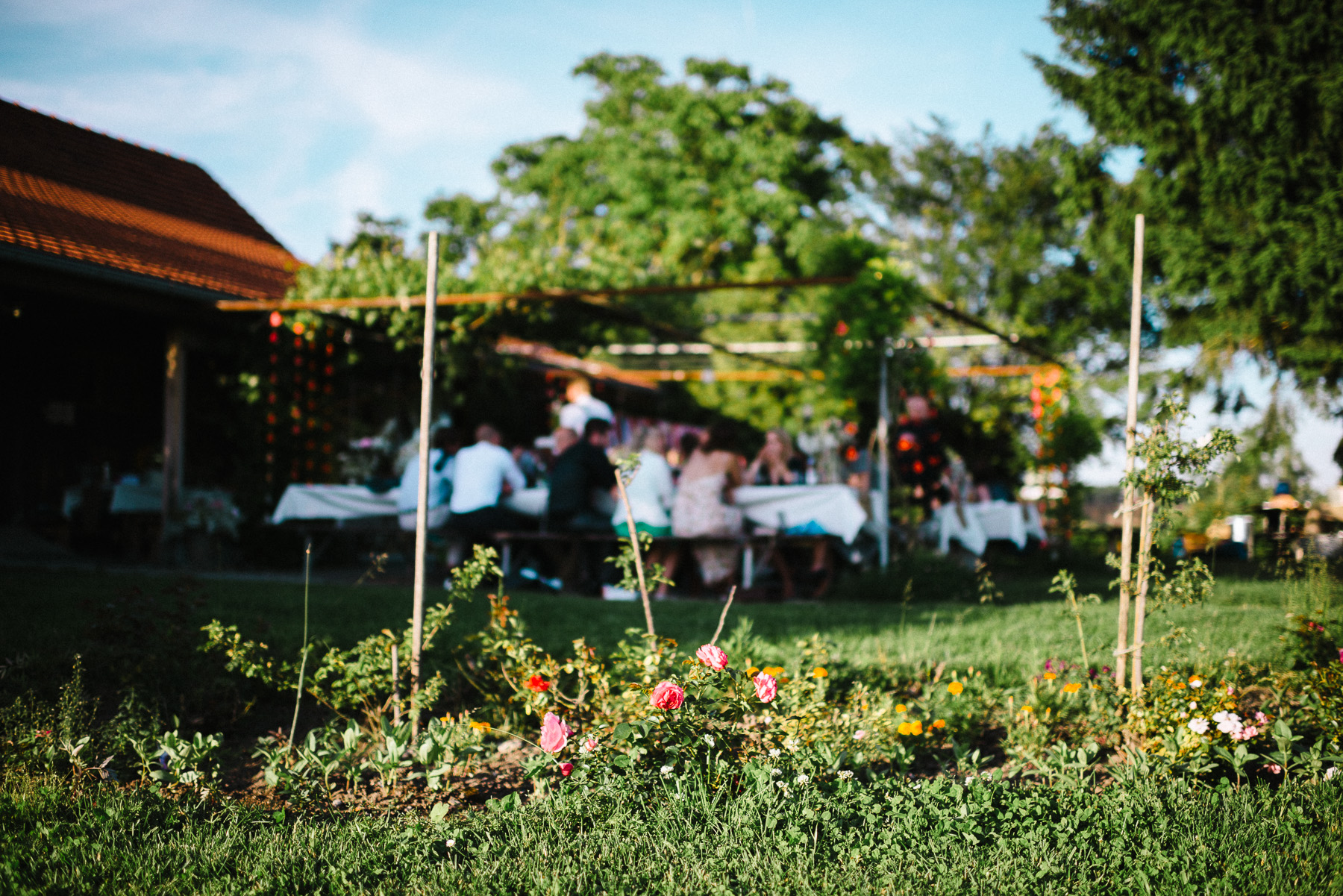 countryside wedding